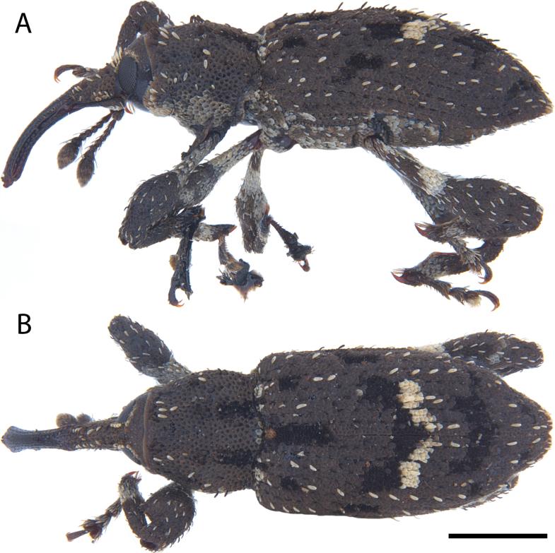 Figure 22