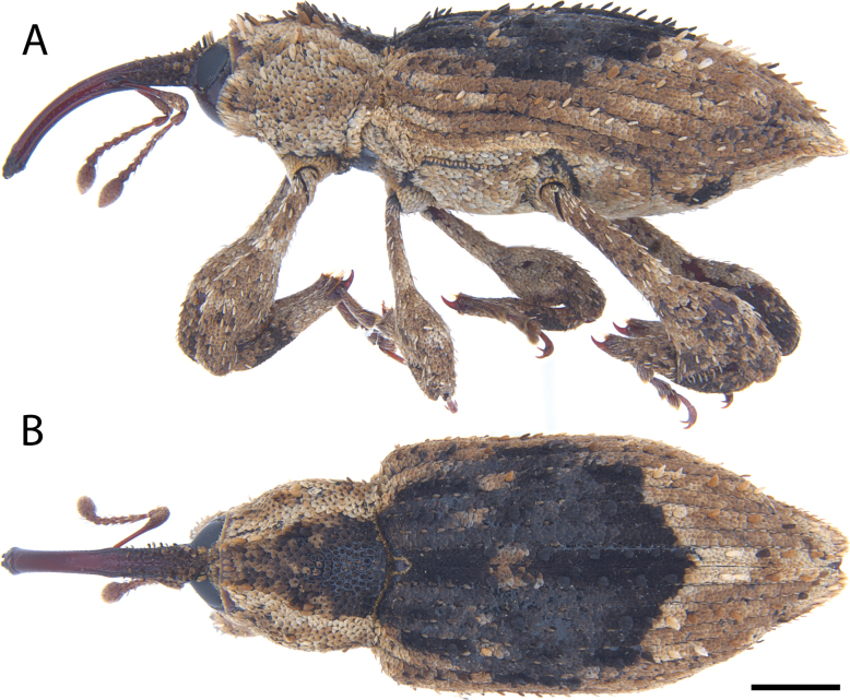 Figure 23