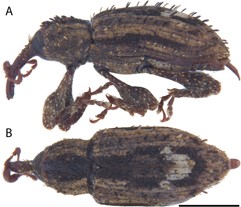 Figure 27