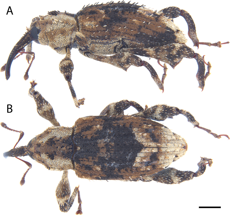 Figure 28