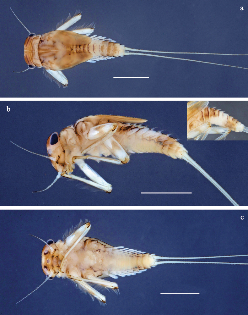 Figure 9