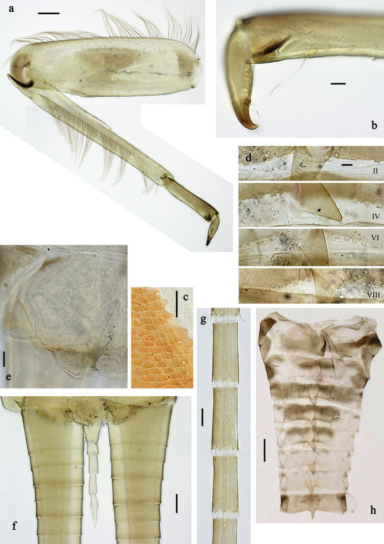 Figure 11