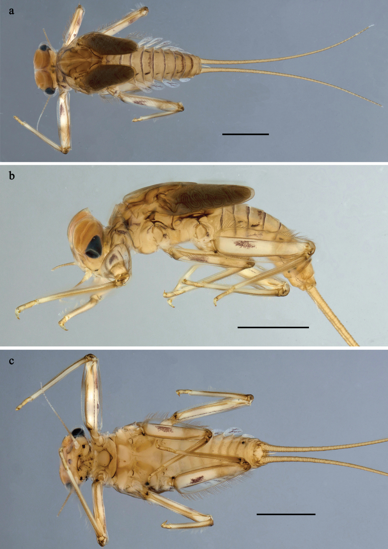 Figure 15