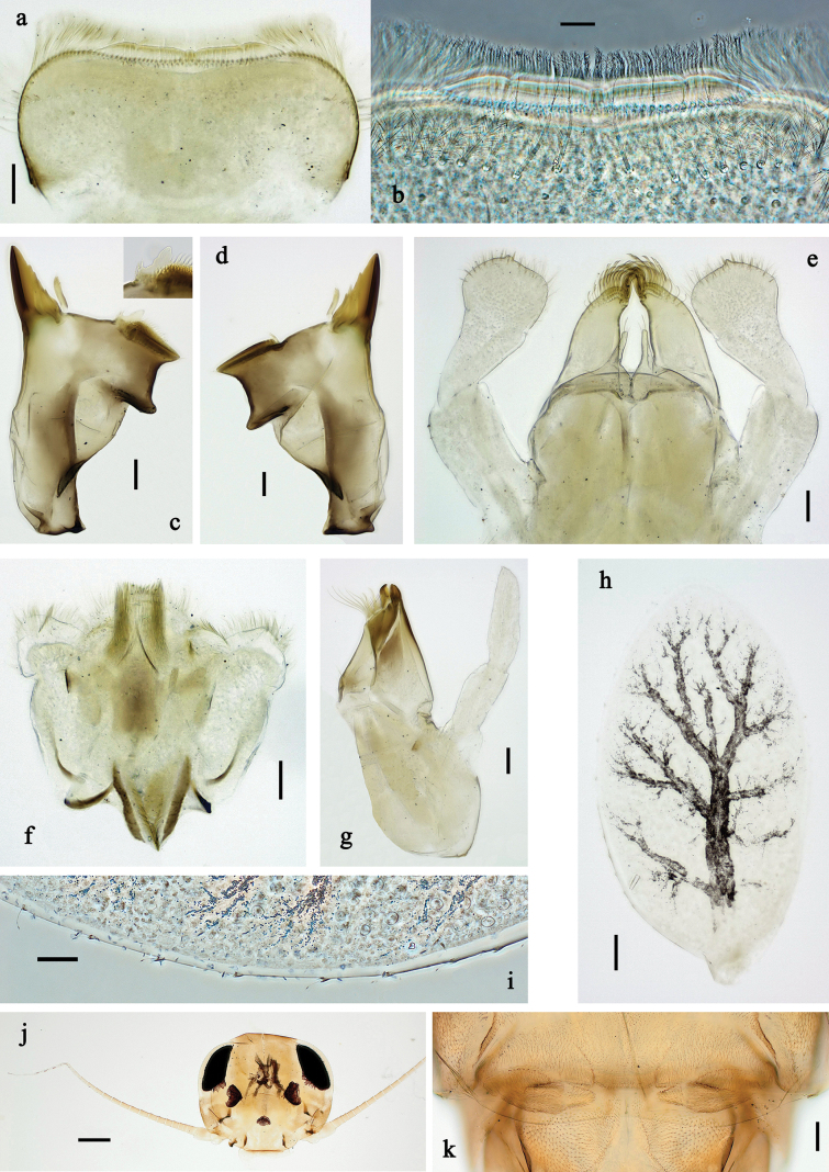 Figure 16
