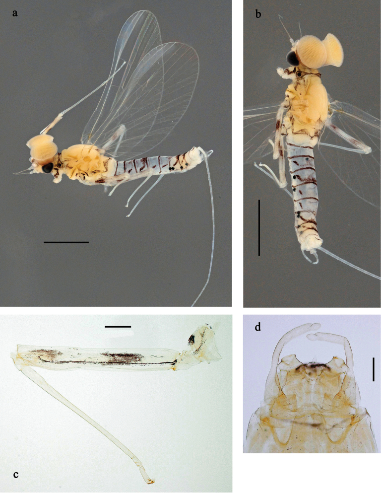 Figure 18