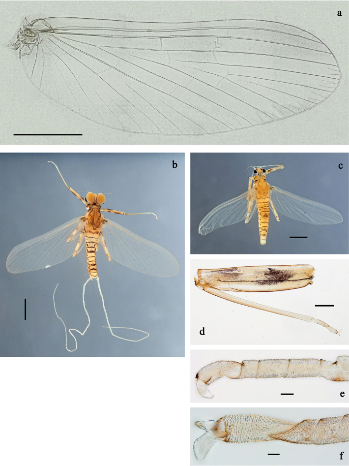 Figure 19