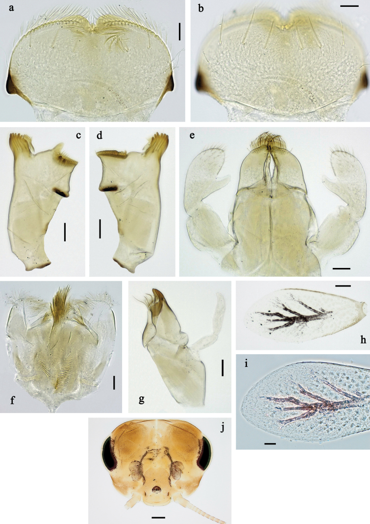Figure 21