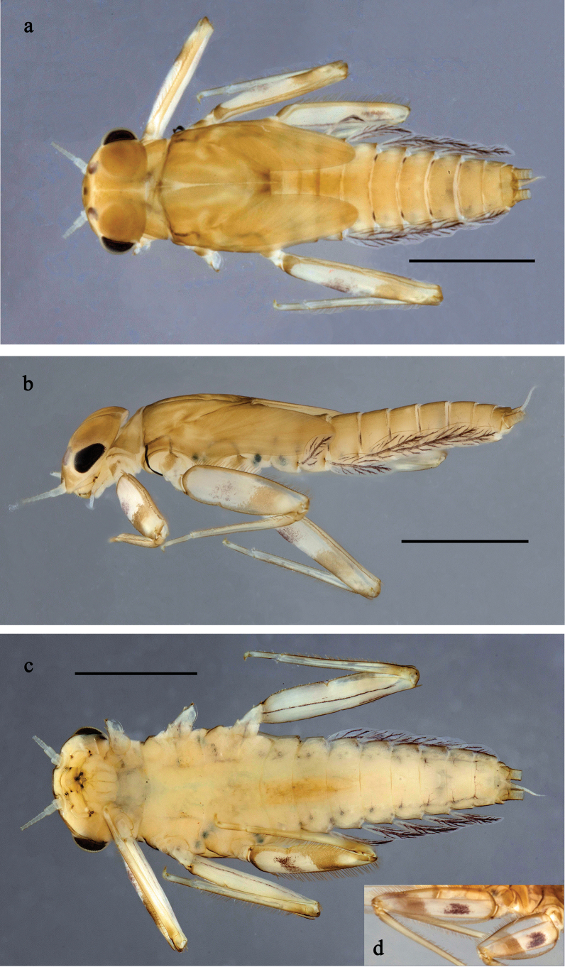 Figure 23