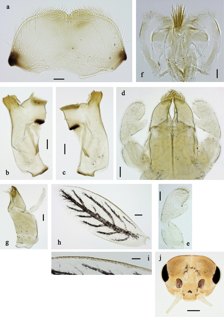 Figure 24