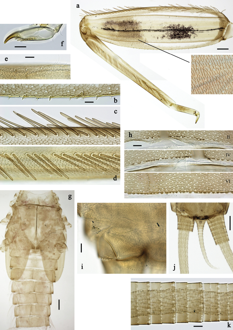 Figure 25