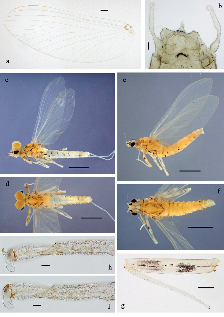Figure 27