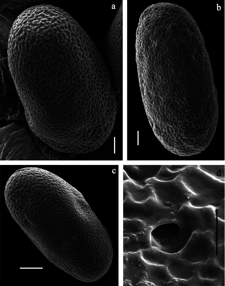 Figure 28