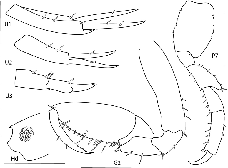 Figure 7