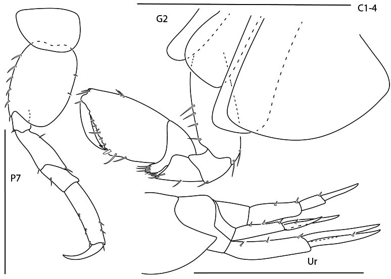 Figure 8