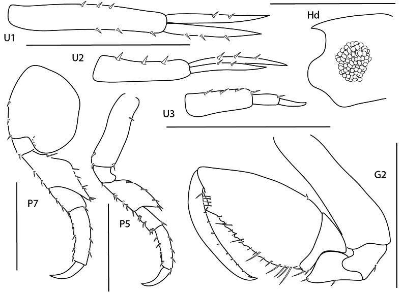 Figure 9