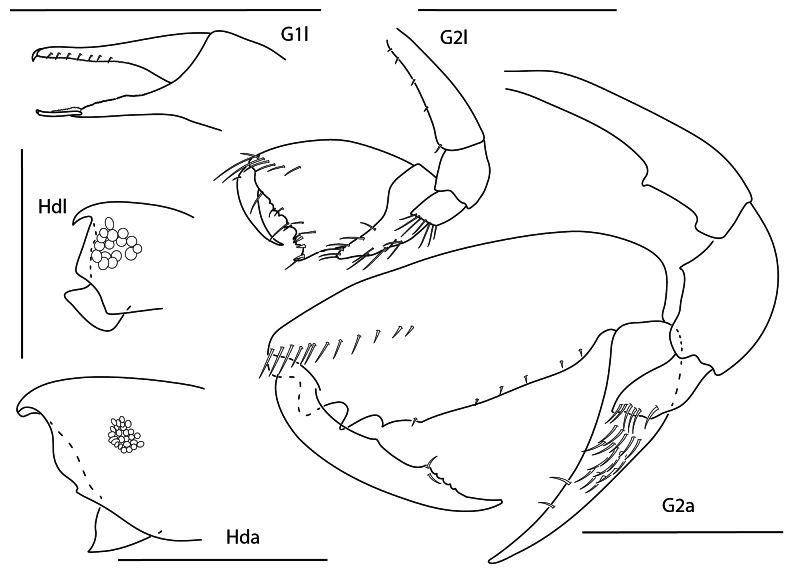 Figure 10