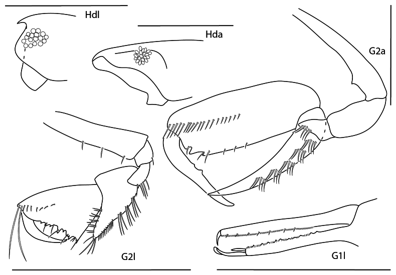 Figure 11