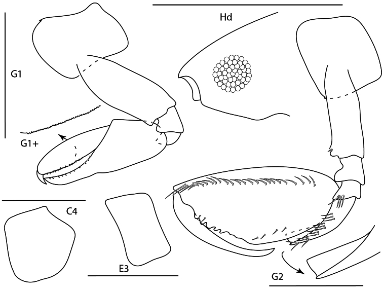 Figure 12