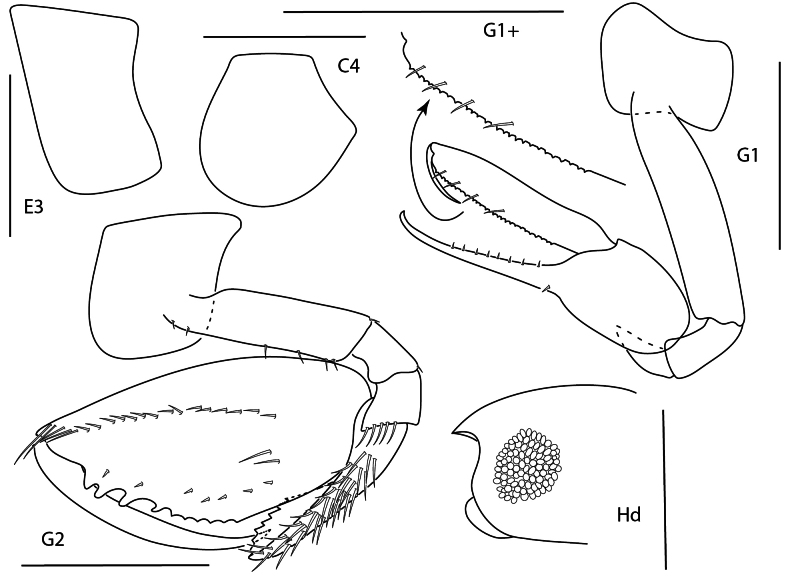 Figure 13