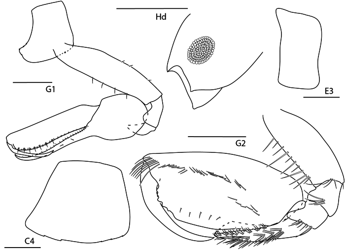 Figure 14