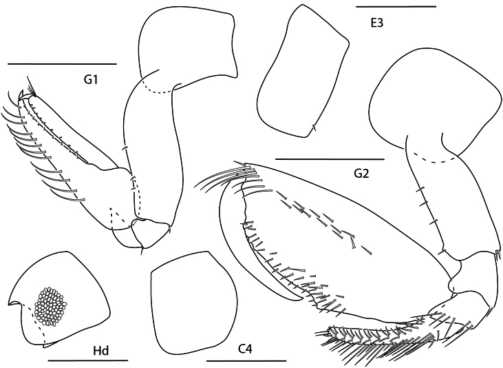 Figure 15