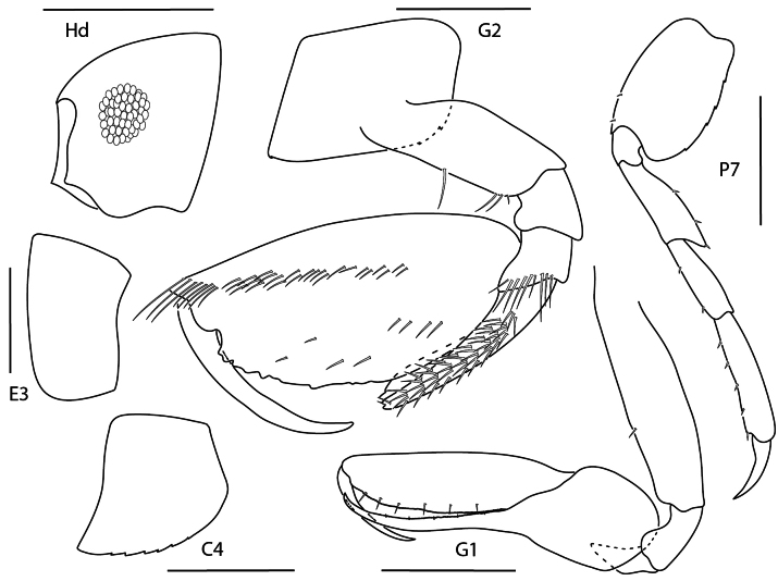 Figure 16