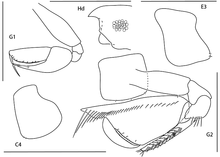 Figure 17