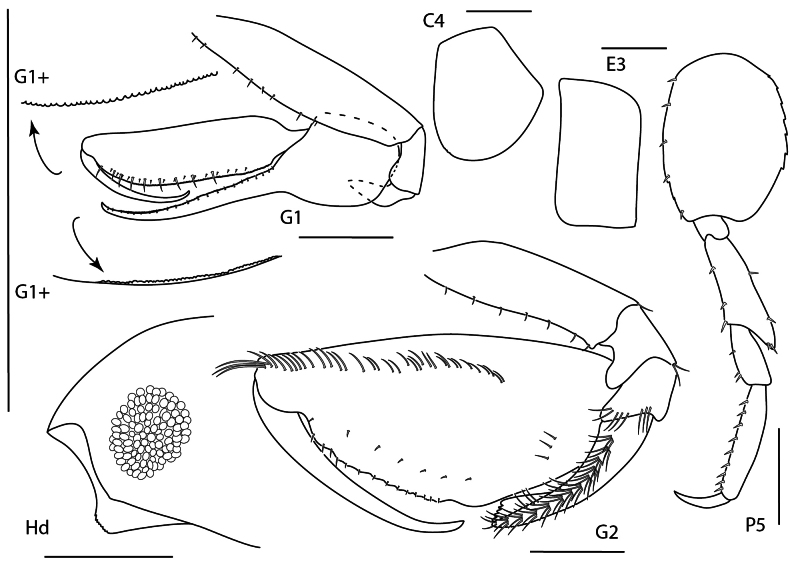 Figure 18