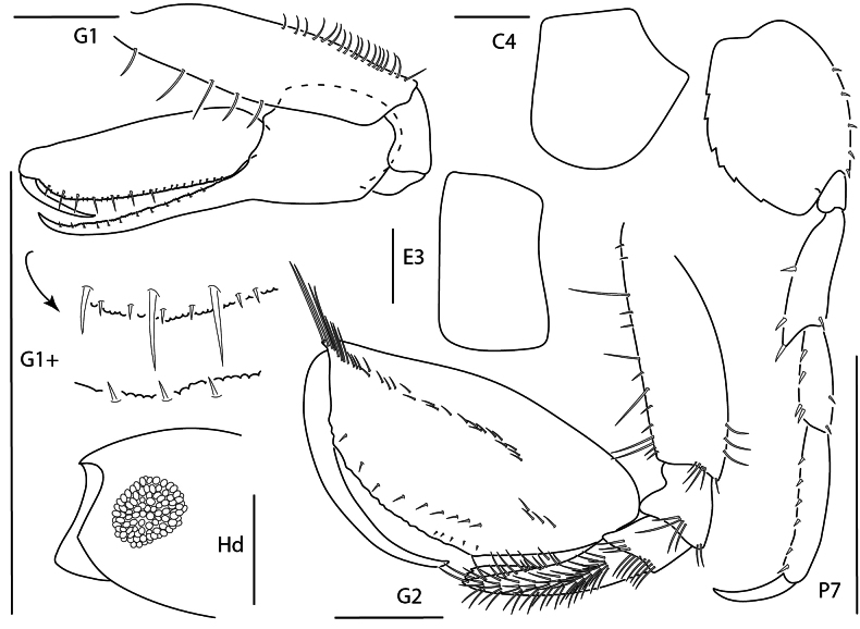 Figure 20