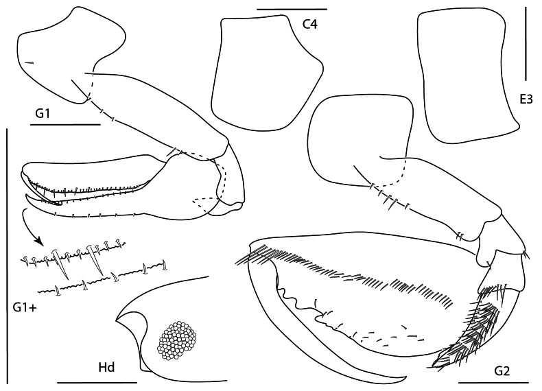 Figure 21