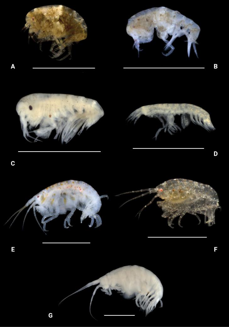 Figure 22