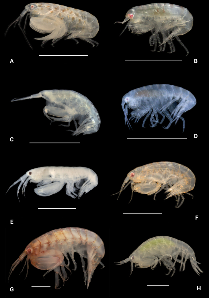 Figure 23