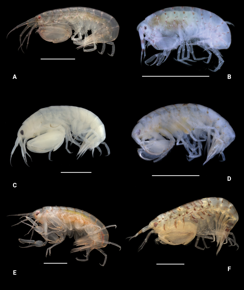 Figure 24