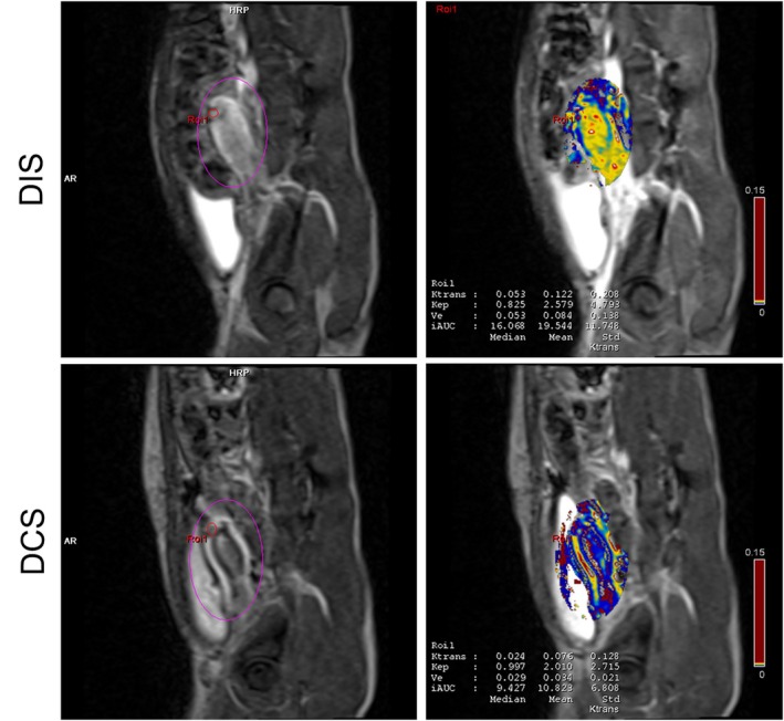FIGURE 4