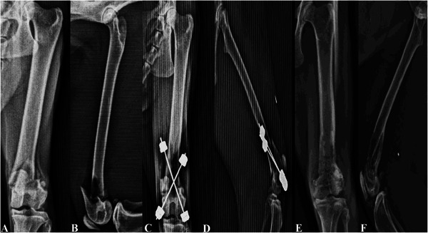 FIGURE 6