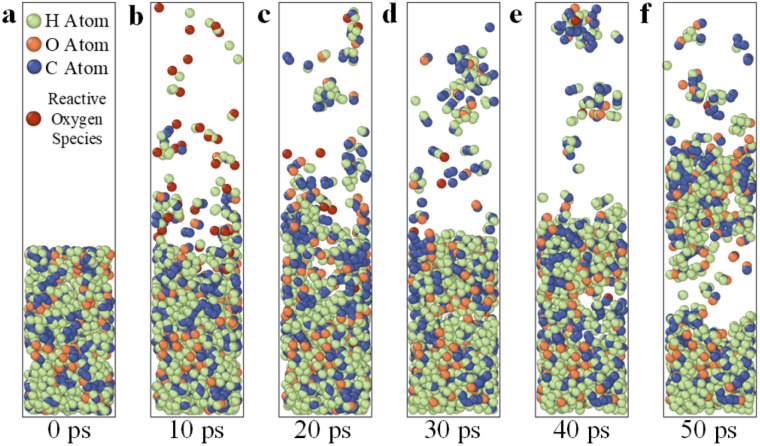 Fig. 10