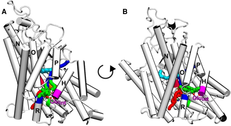 Fig. 2