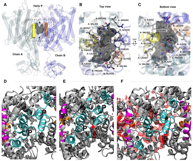 Fig. 7