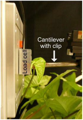 Figure 16