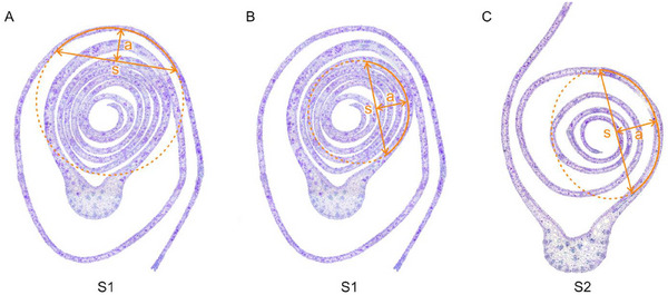 Figure 15