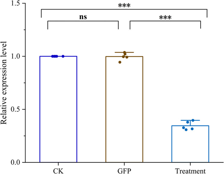 Figure 7