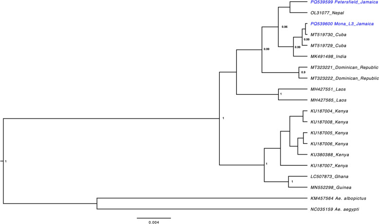 Figure 5