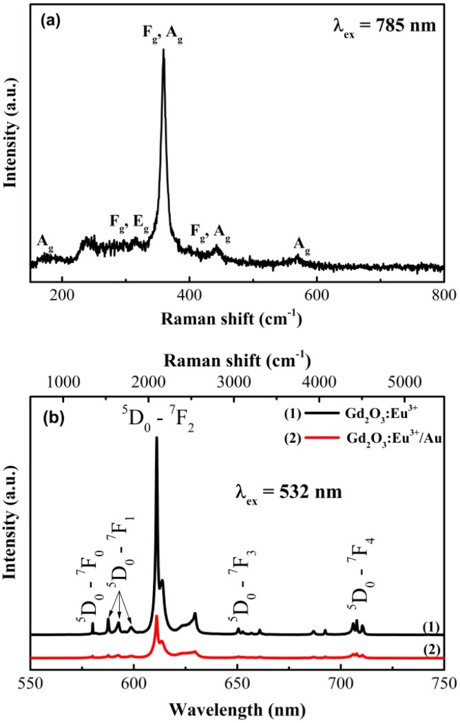 Fig. 9