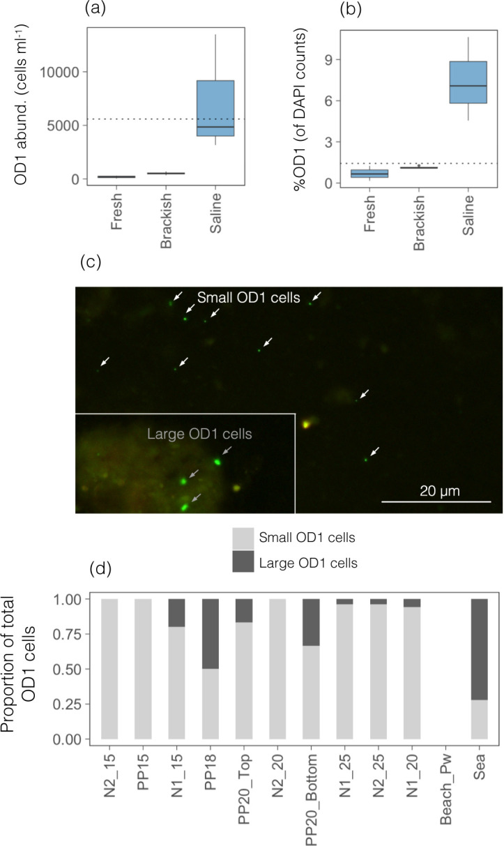 Fig 4