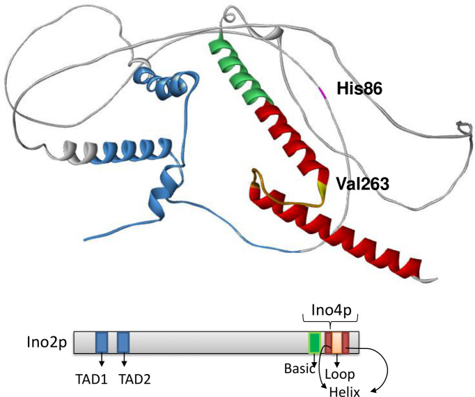 Fig 6