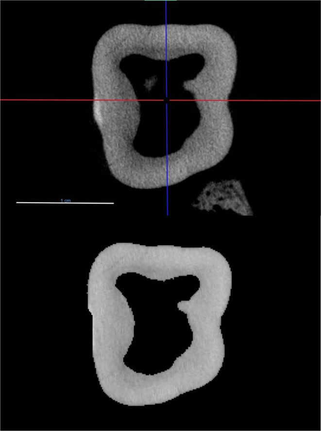 FIGURE 2