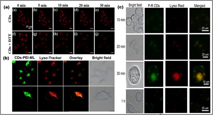 Fig. 14