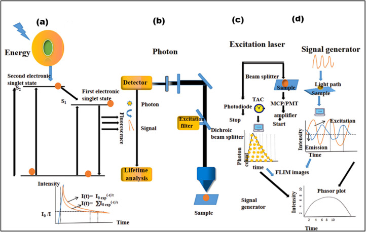 Fig. 18