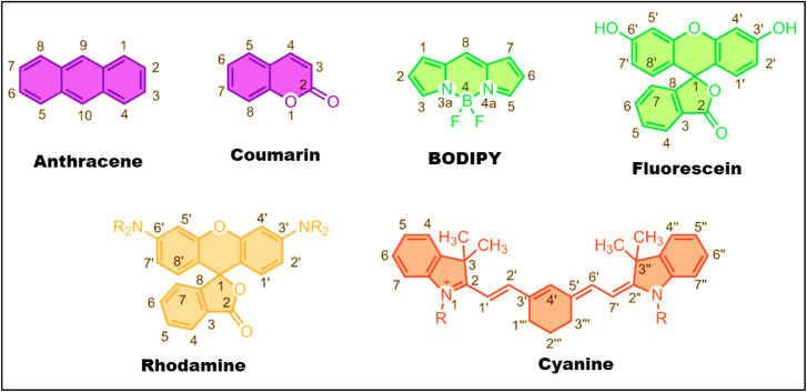 Fig. 2