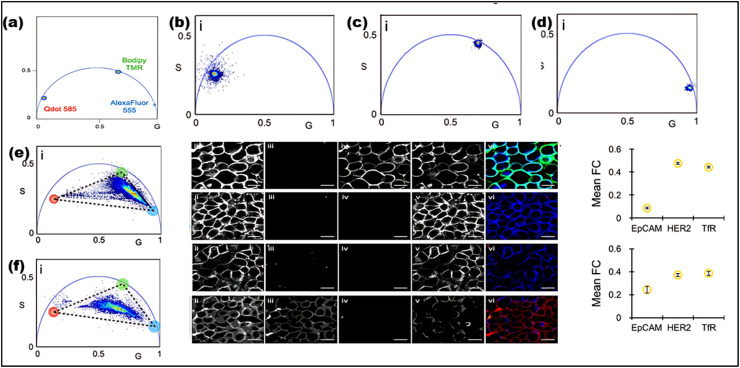 Fig. 20